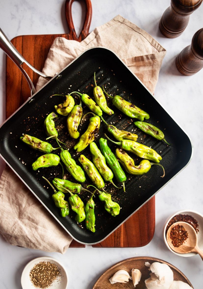 10.5 Inch Copper Cast Textured Nonstick Grill Pan