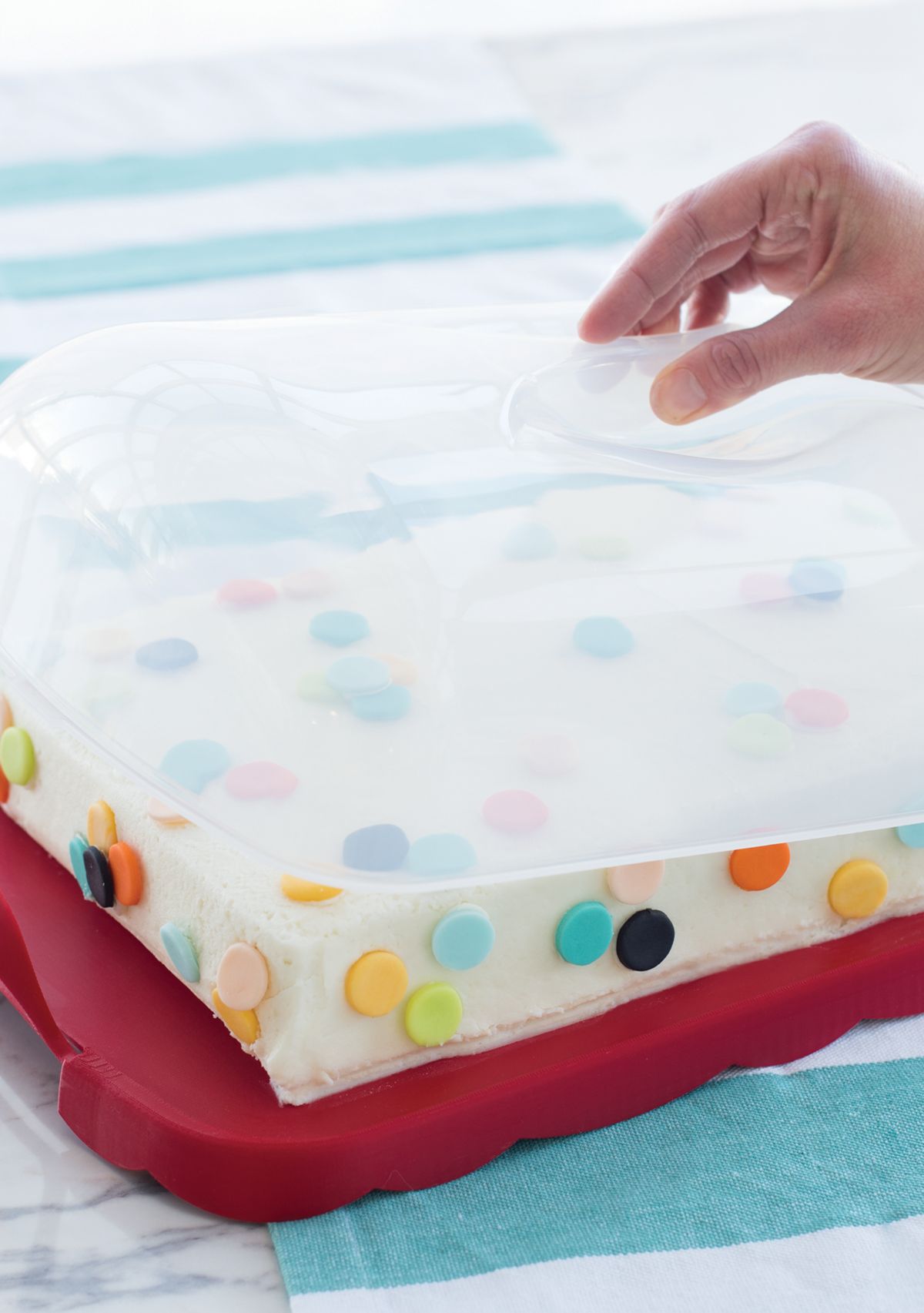 Cakes And Cupcakes Carrier