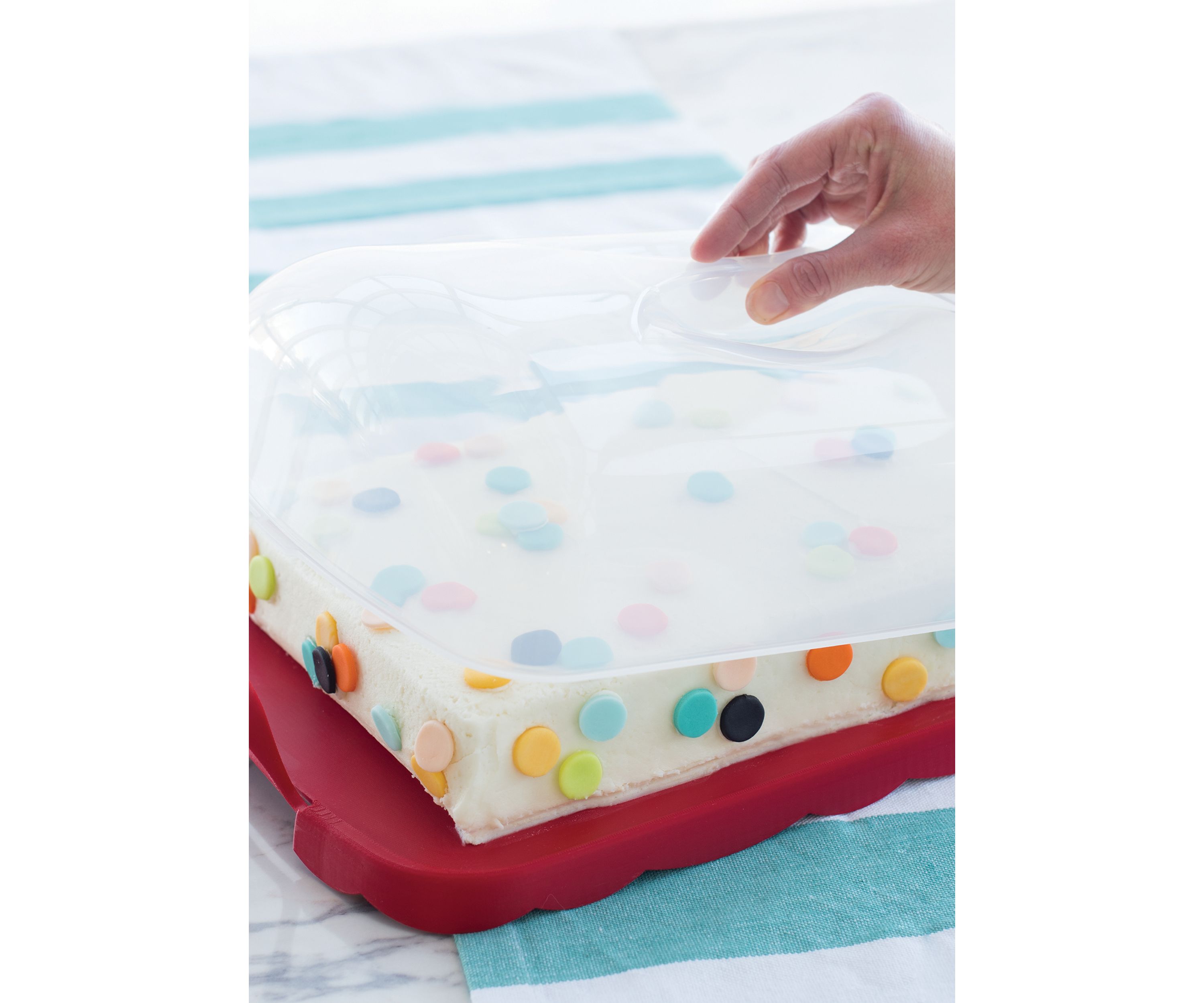 Cakes And Cupcakes Carrier