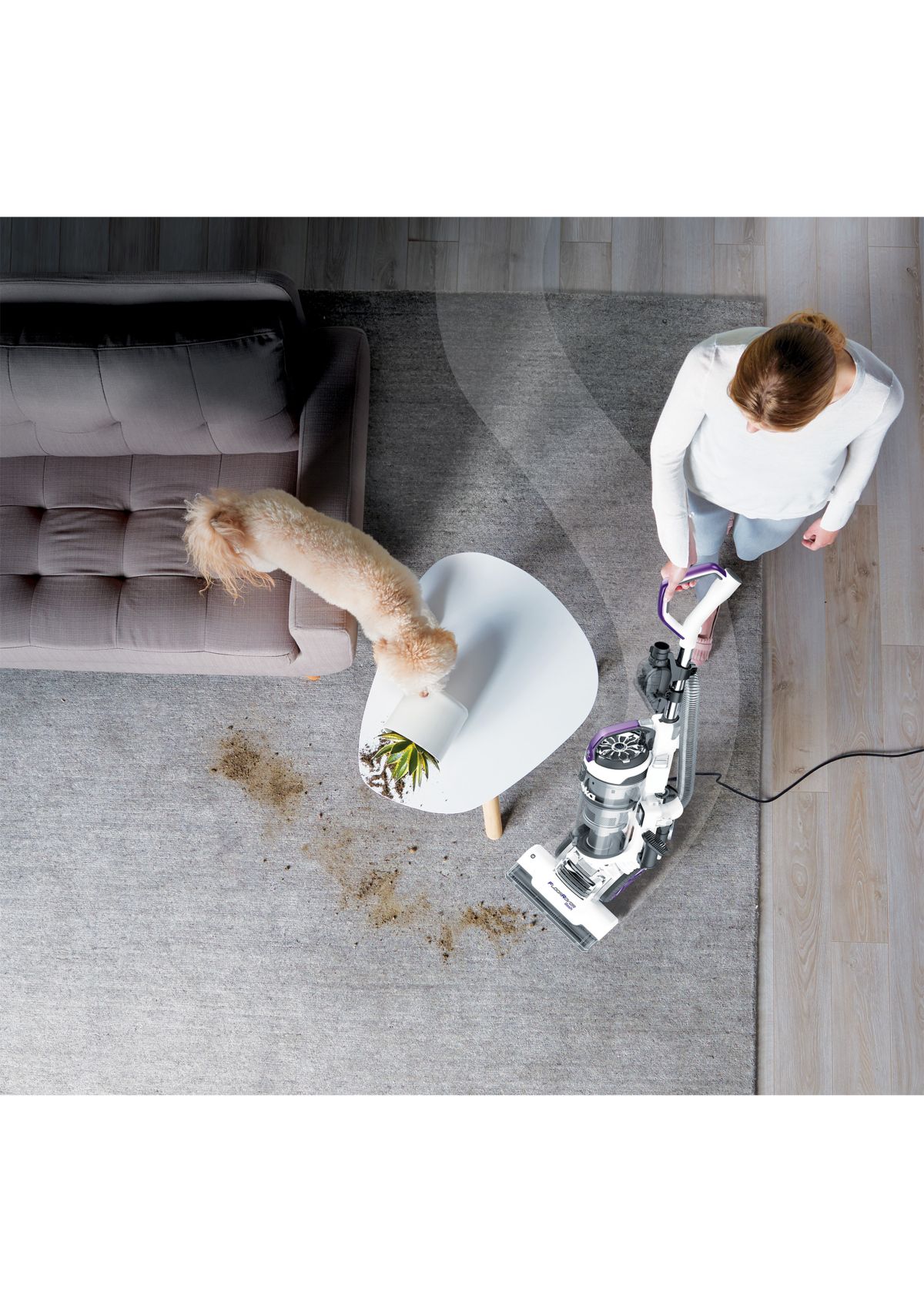 Floor Rover Dash Upright Vacuum 