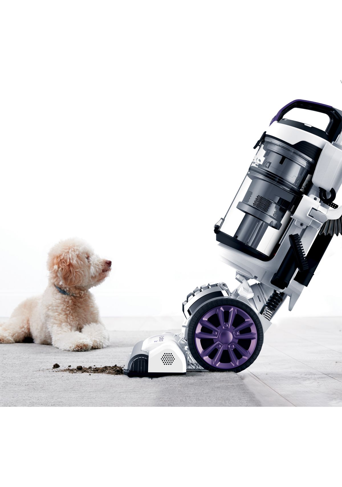 Floor Rover Dash Upright Vacuum 