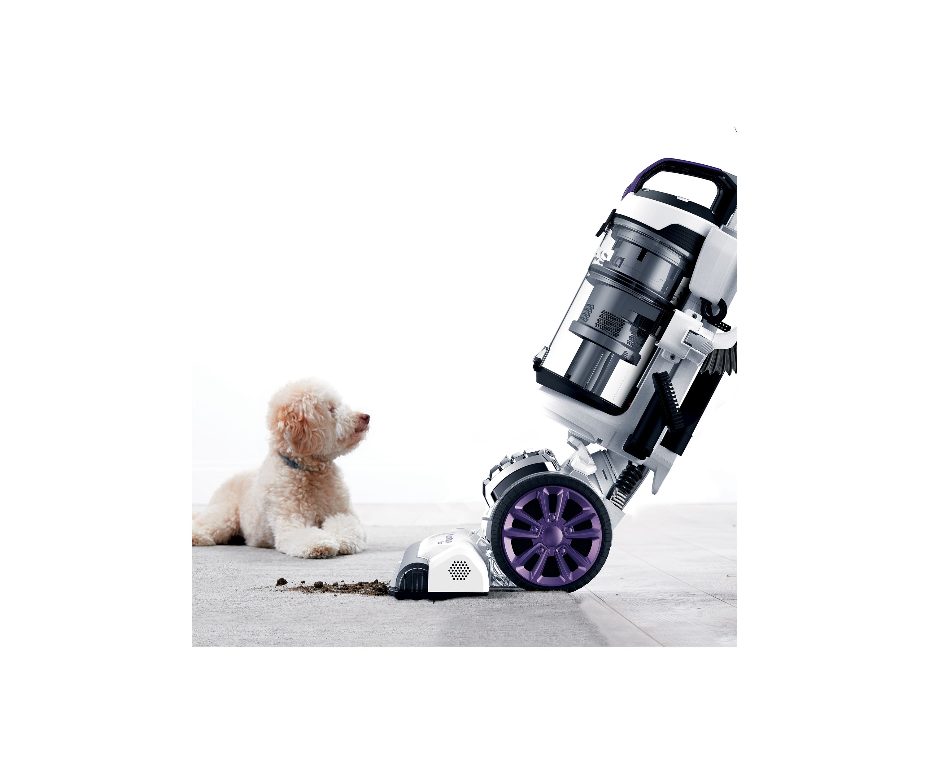 Floor Rover Dash Upright Vacuum 