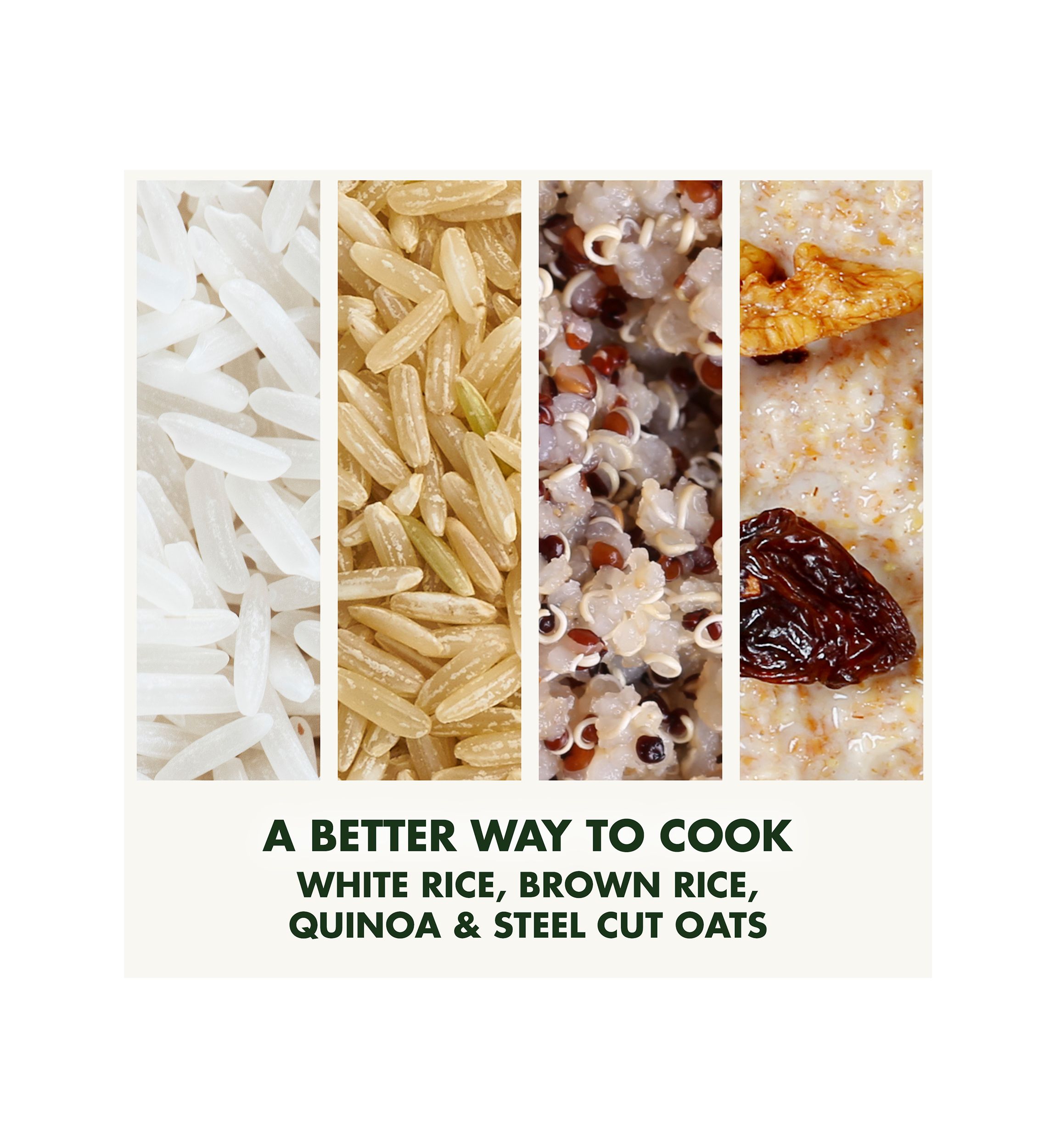 Bistro Rice Cooker