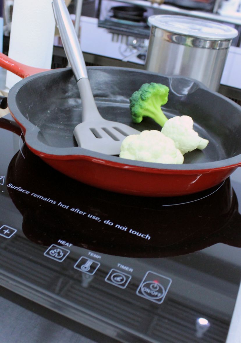 2 Piece Fry Pan and Grill Pan Set