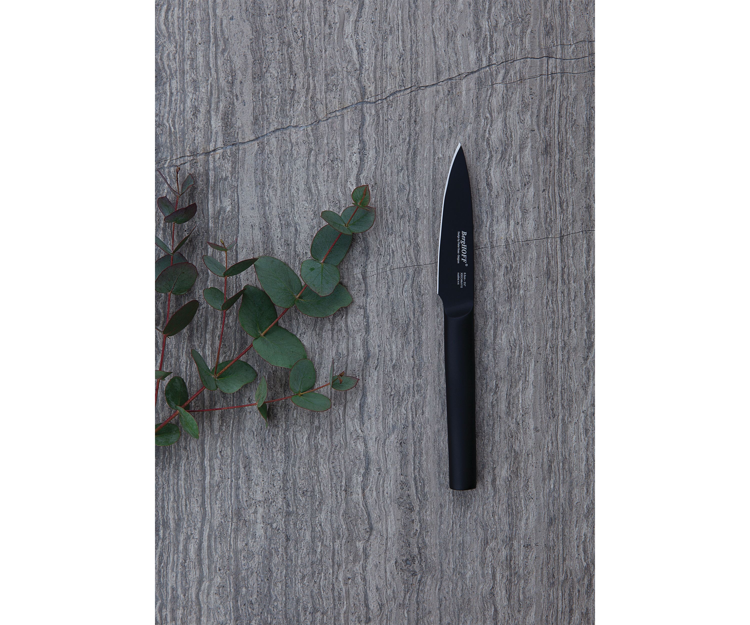 Ron Vegetable and Paring Knife Set 