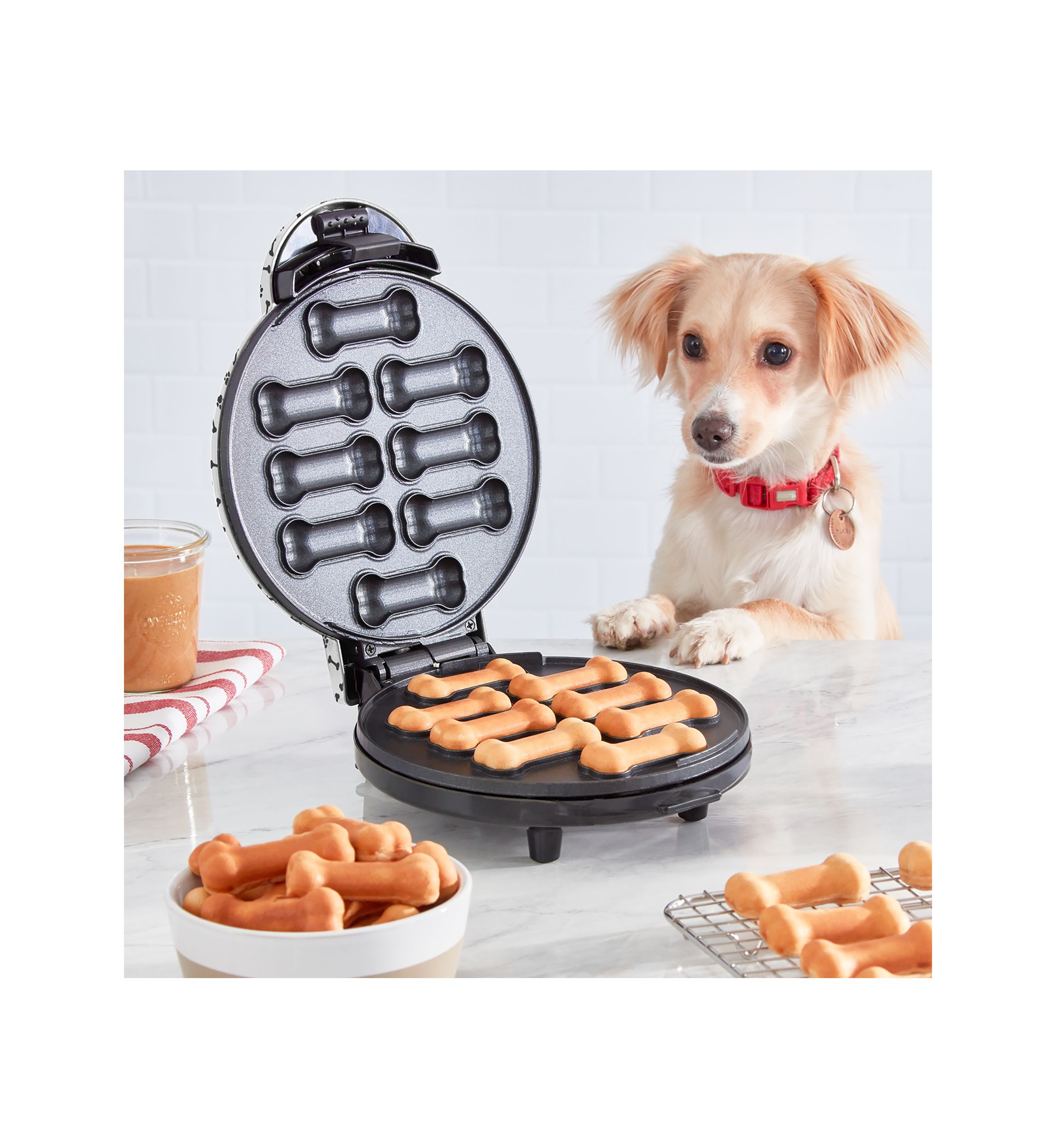 Express Dog Treat Maker