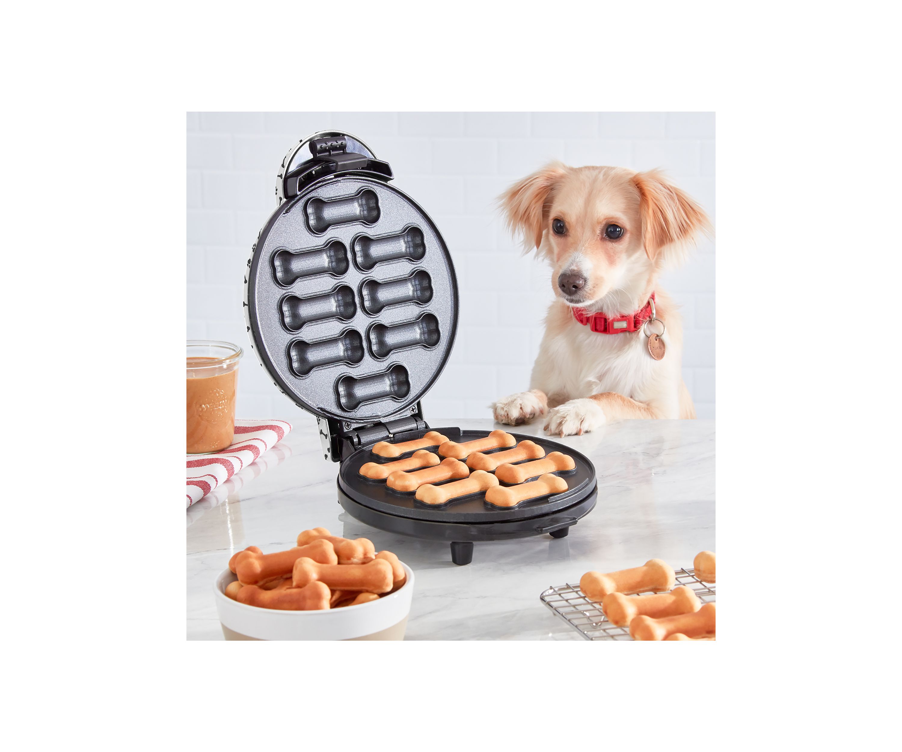 Express Dog Treat Maker
