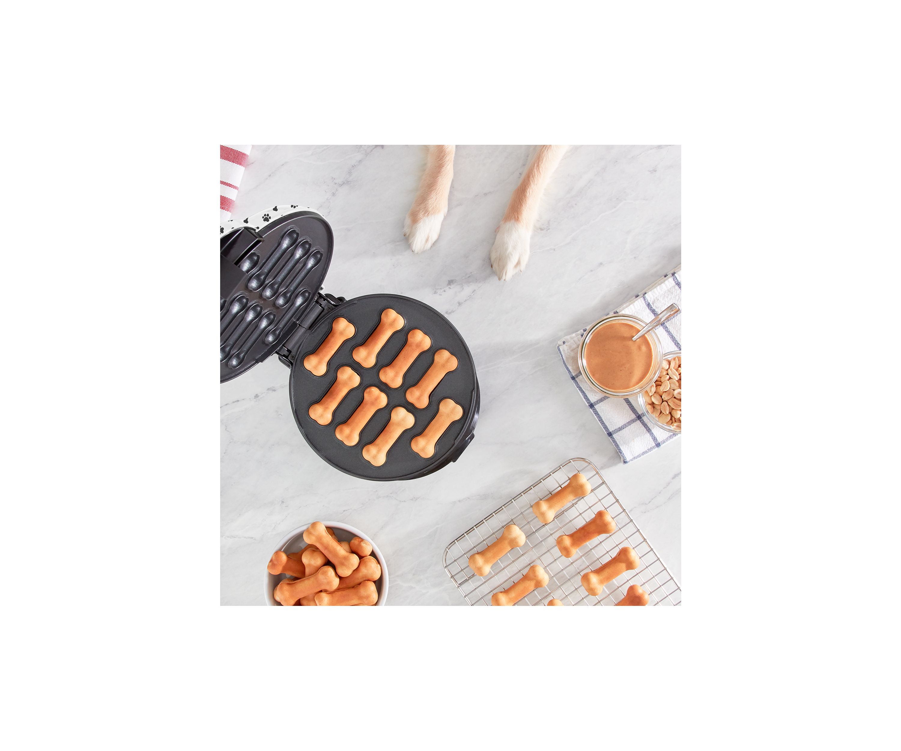 Express Dog Treat Maker