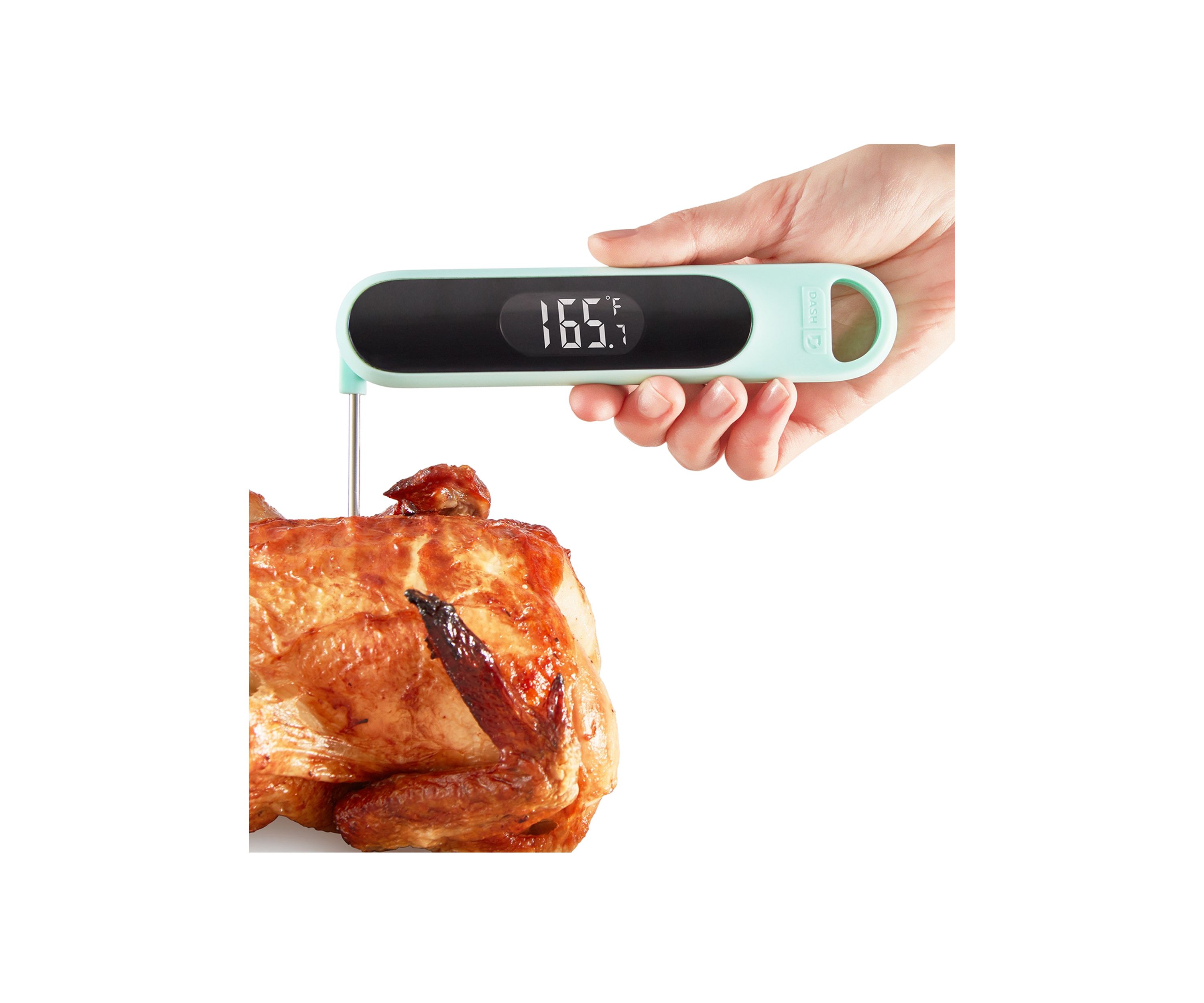 Precision Quick-Read Thermometer