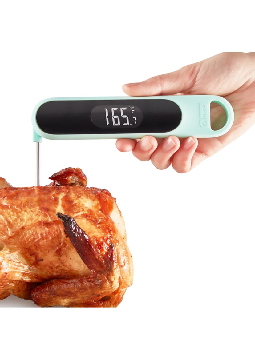 Precision Quick-Read Thermometer