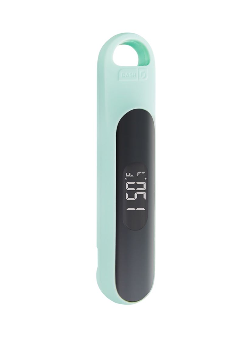 Precision Quick-Read Thermometer