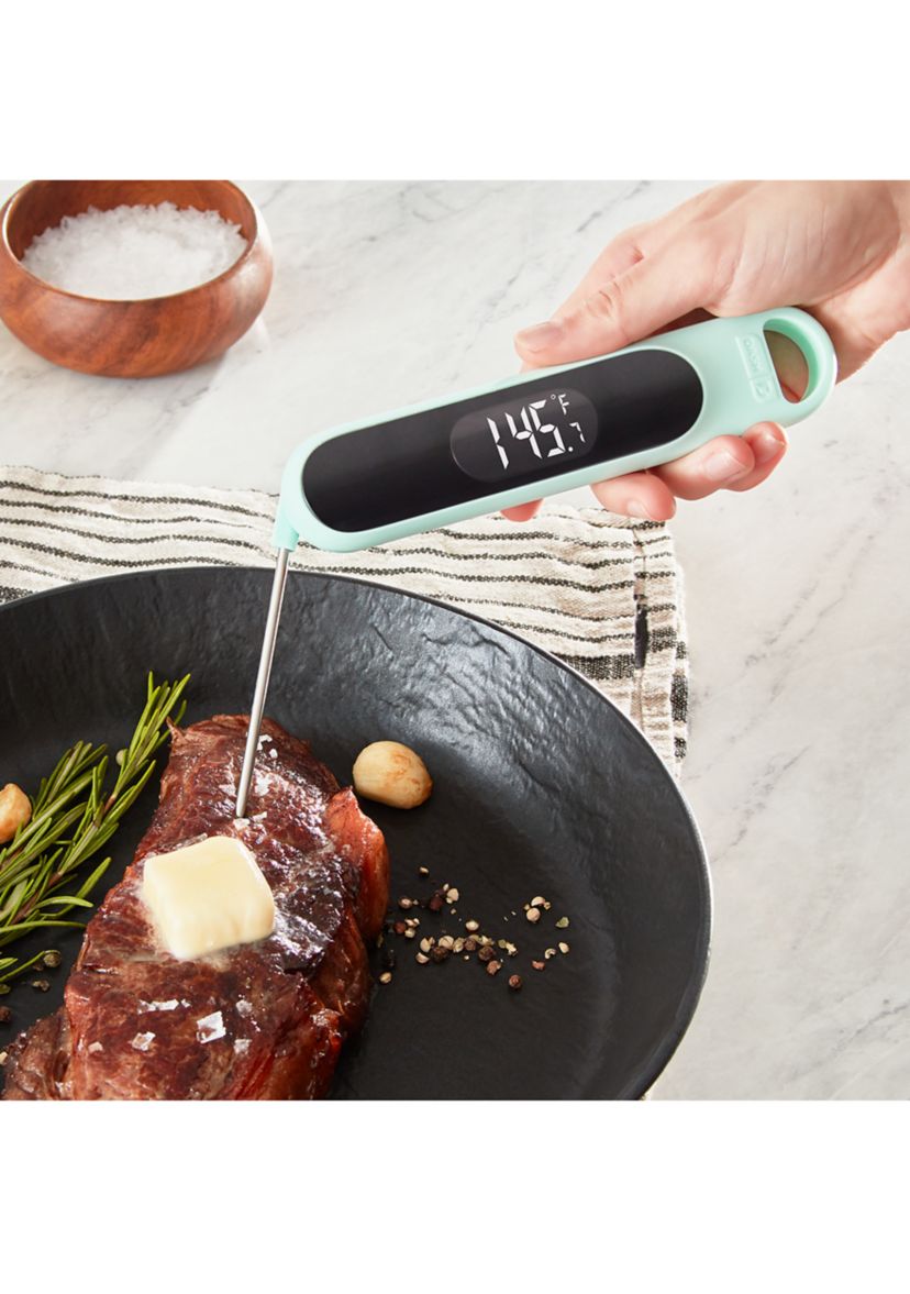 Precision Quick-Read Thermometer