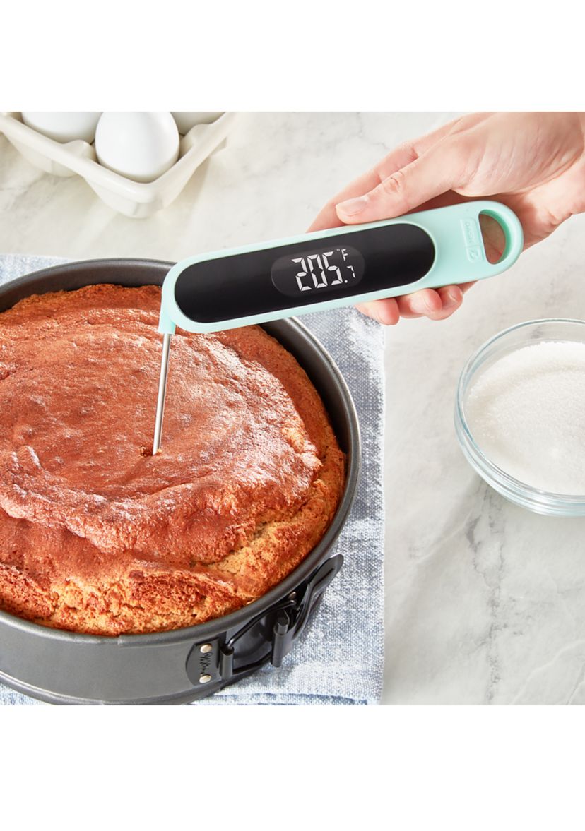 Precision Quick-Read Thermometer