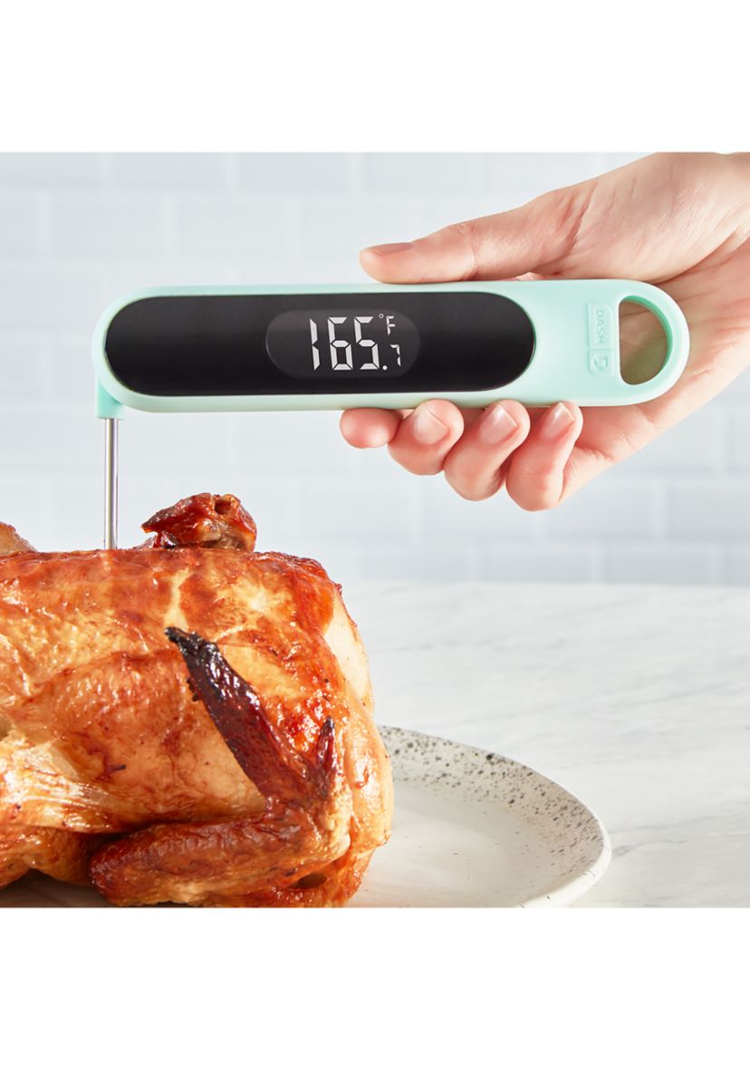 Precision Quick-Read Thermometer