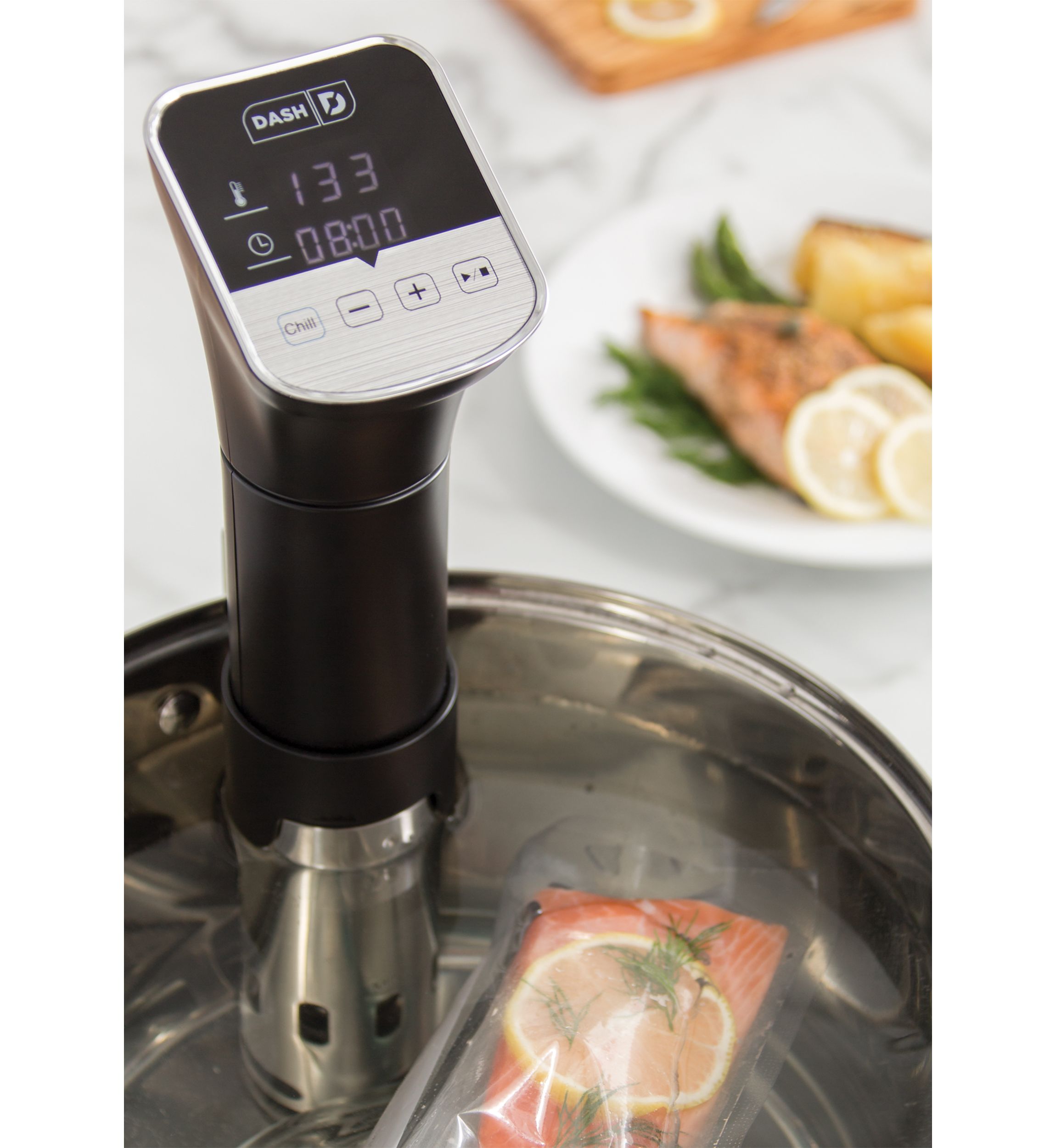Sous Vide Stick 