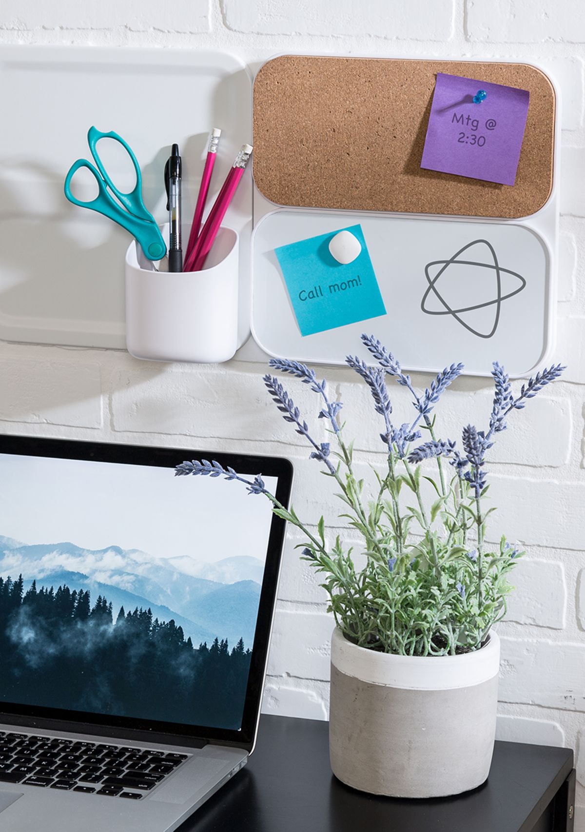 Corky the Cork Board 