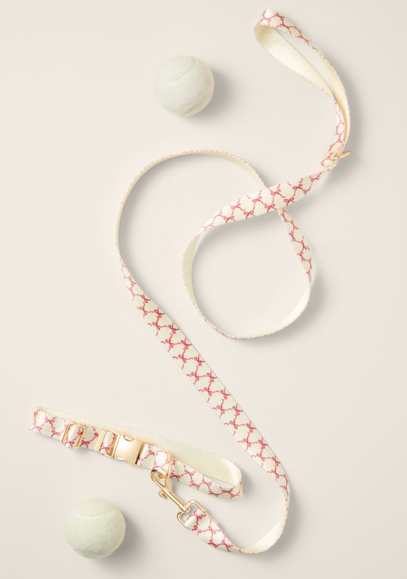 Sewing Down South x Crown & Ivy™ Sew Fetch Collar and Leash Set