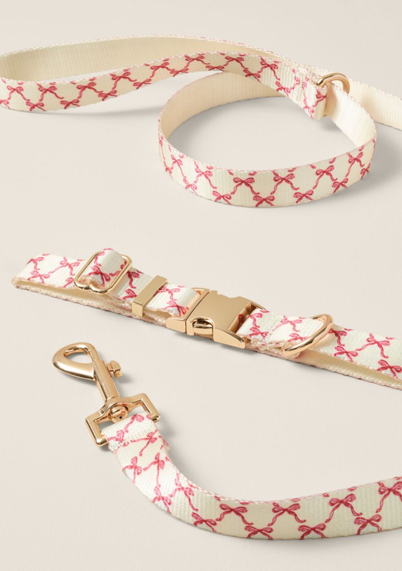 Sewing Down South x Crown & Ivy™ Sew Fetch Collar and Leash Set