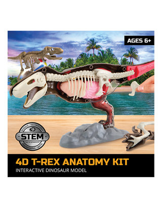 Discovery Mindblown 4d T-rex Anatomy Kit Interactive Dinosaur Model for sale online 