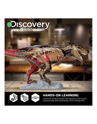 4D T-Rex Dinosaur Anatomy Kit