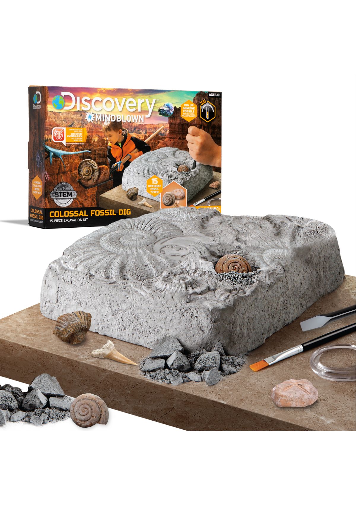 Colossal Fossil Dig Set STEM 15-Piece Archeology Excavation Kit