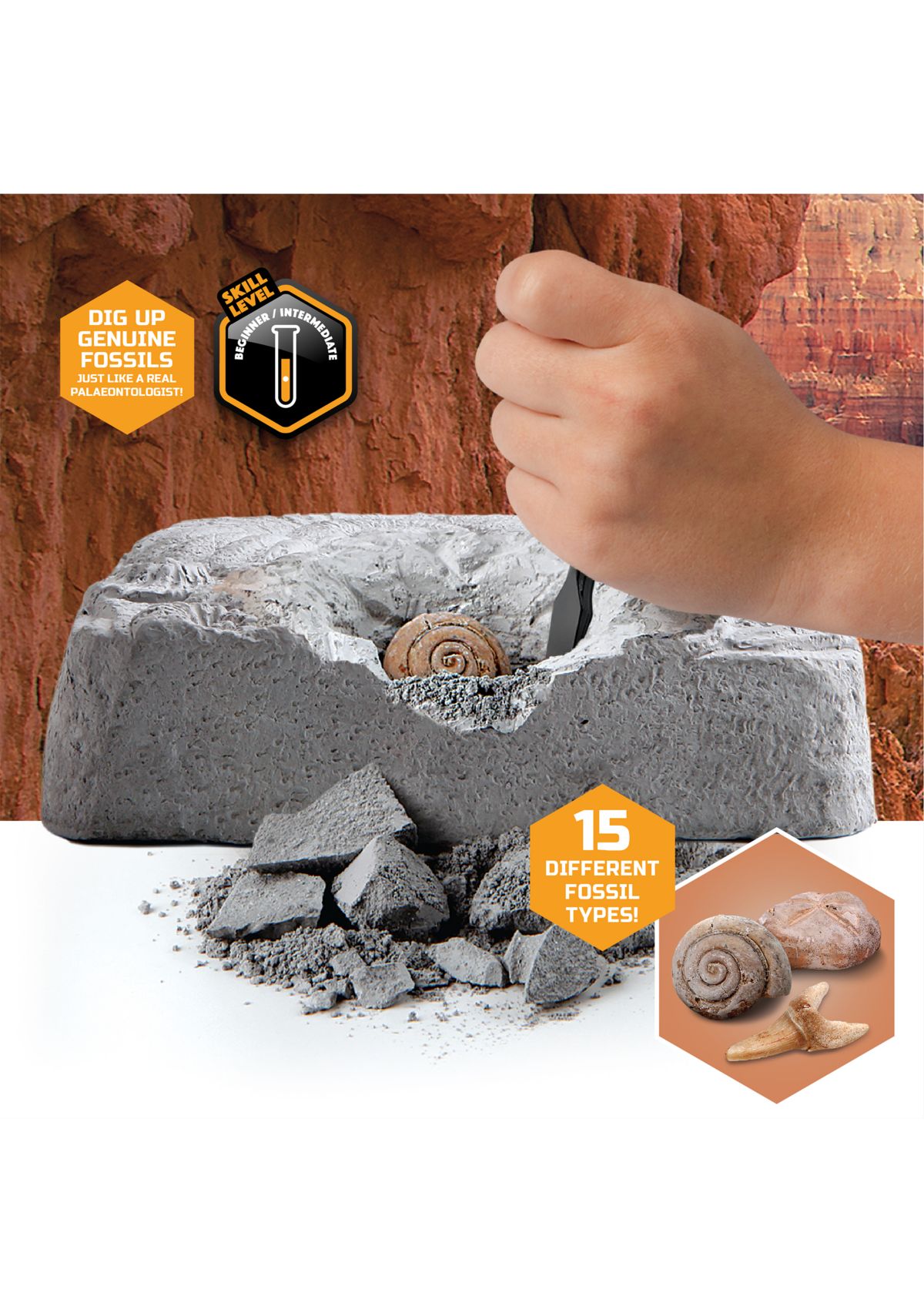 Colossal Fossil Dig Set STEM 15-Piece Archeology Excavation Kit