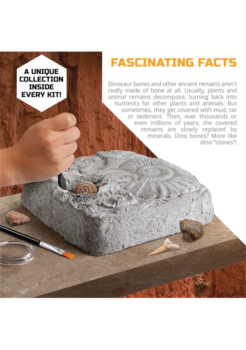 Colossal Fossil Dig Set STEM 15-Piece Archeology Excavation Kit