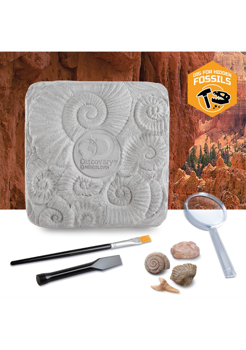 Colossal Fossil Dig Set STEM 15-Piece Archeology Excavation Kit