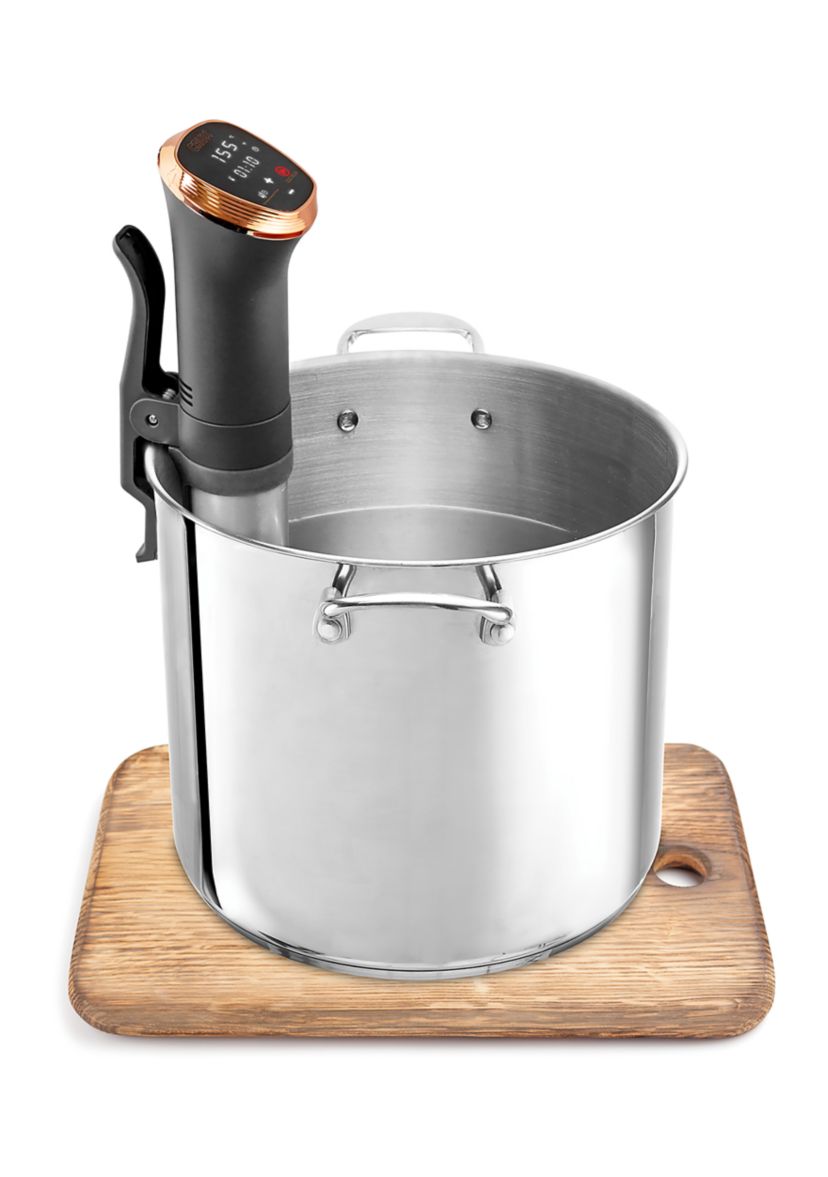 Sous Vide Professional Style Cooker
