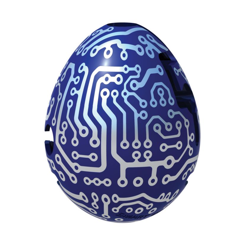 Smart Egg Labyrinth Puzzle - Data