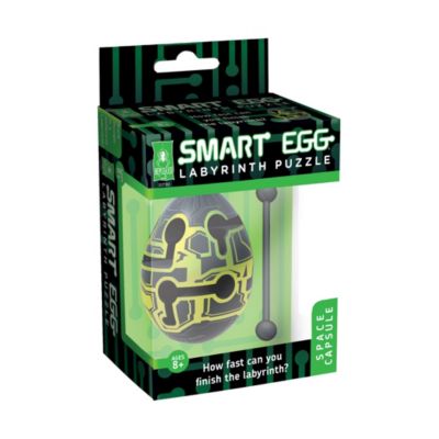 Smart Egg Labyrinth Puzzle