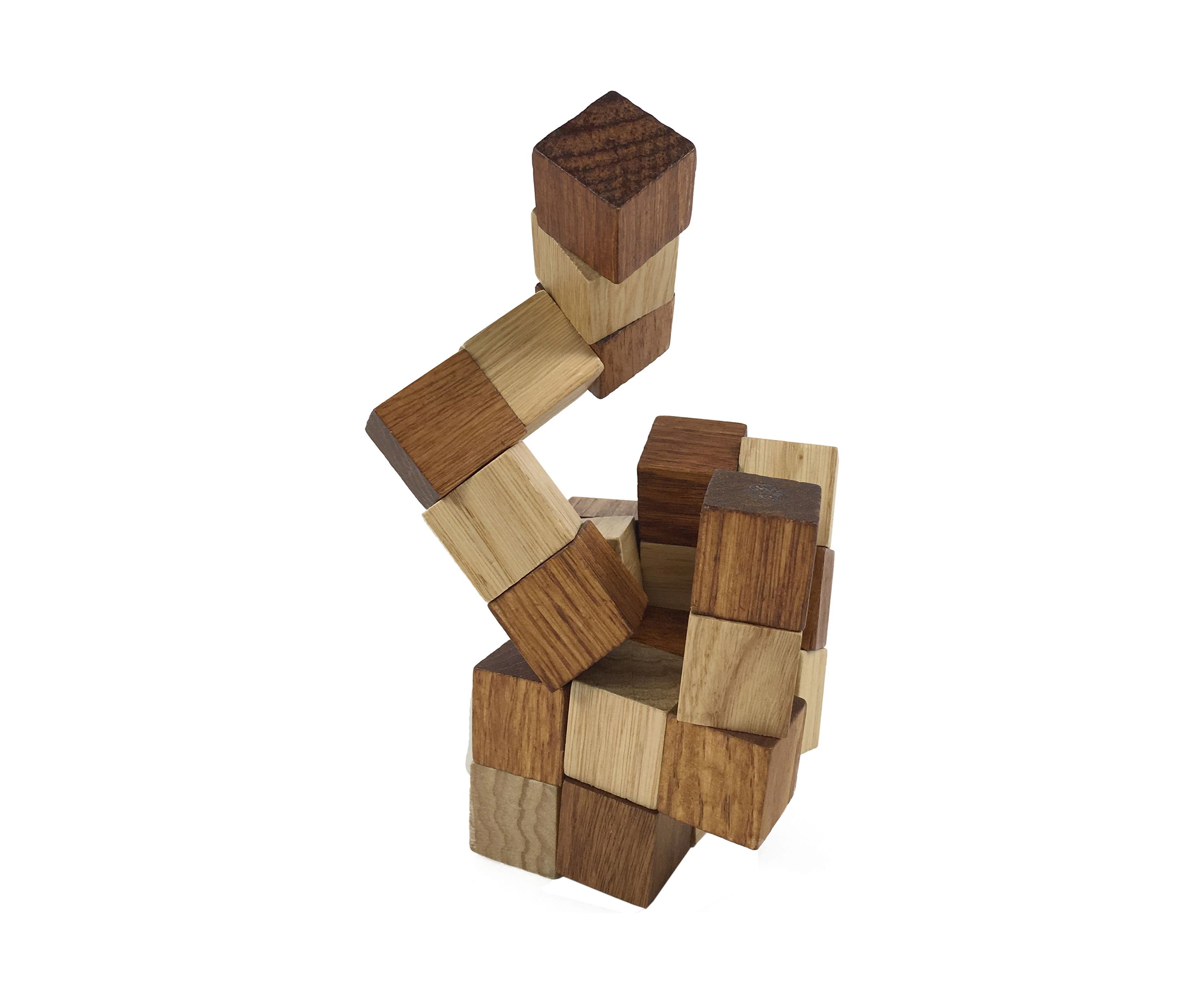 Brainteaser 3-Pack (Star/Snake/Prisoners Dilemma)