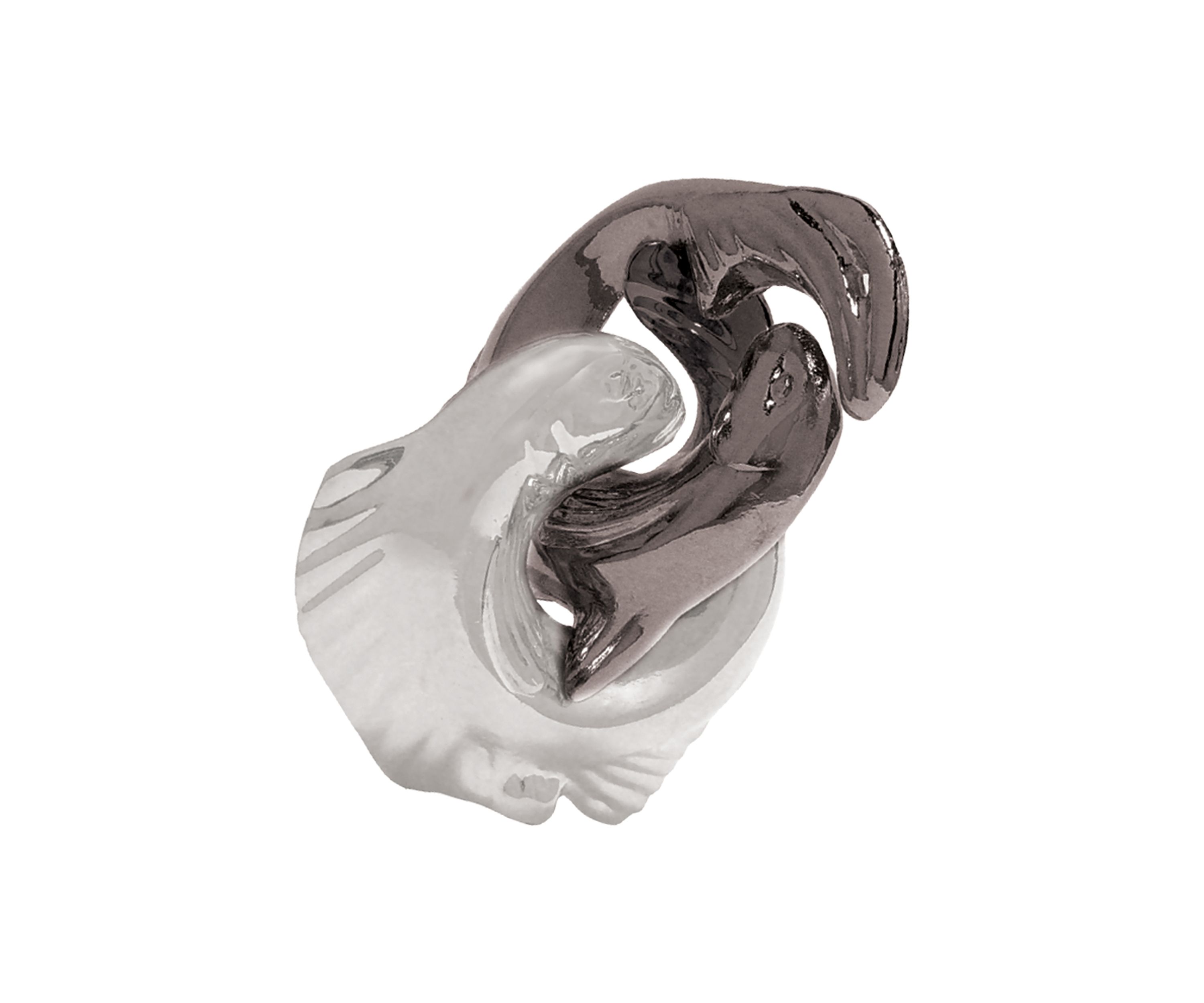 Hanayama Level 1 Cast Puzzle - Trout