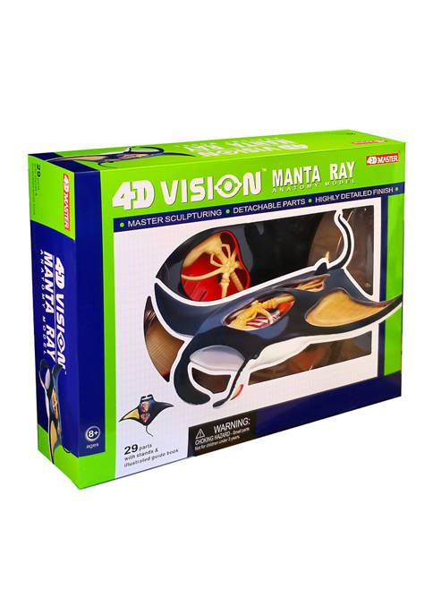 4D Master 4D Vision Manta Ray Anatomy Model