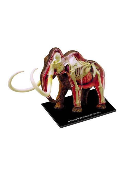  4D Vision Wooly Mammoth Anatomy Model 