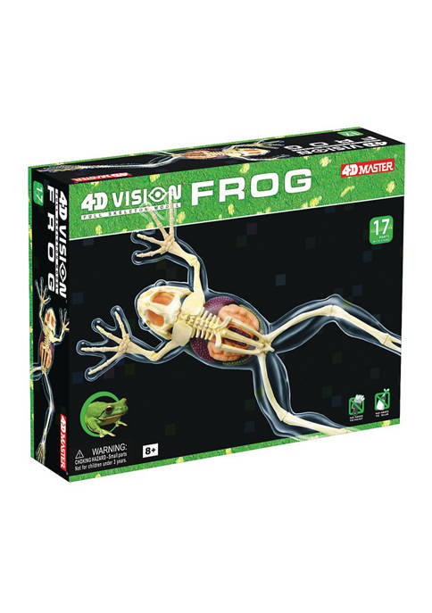 4D Vision Full Skeleton Frog Model