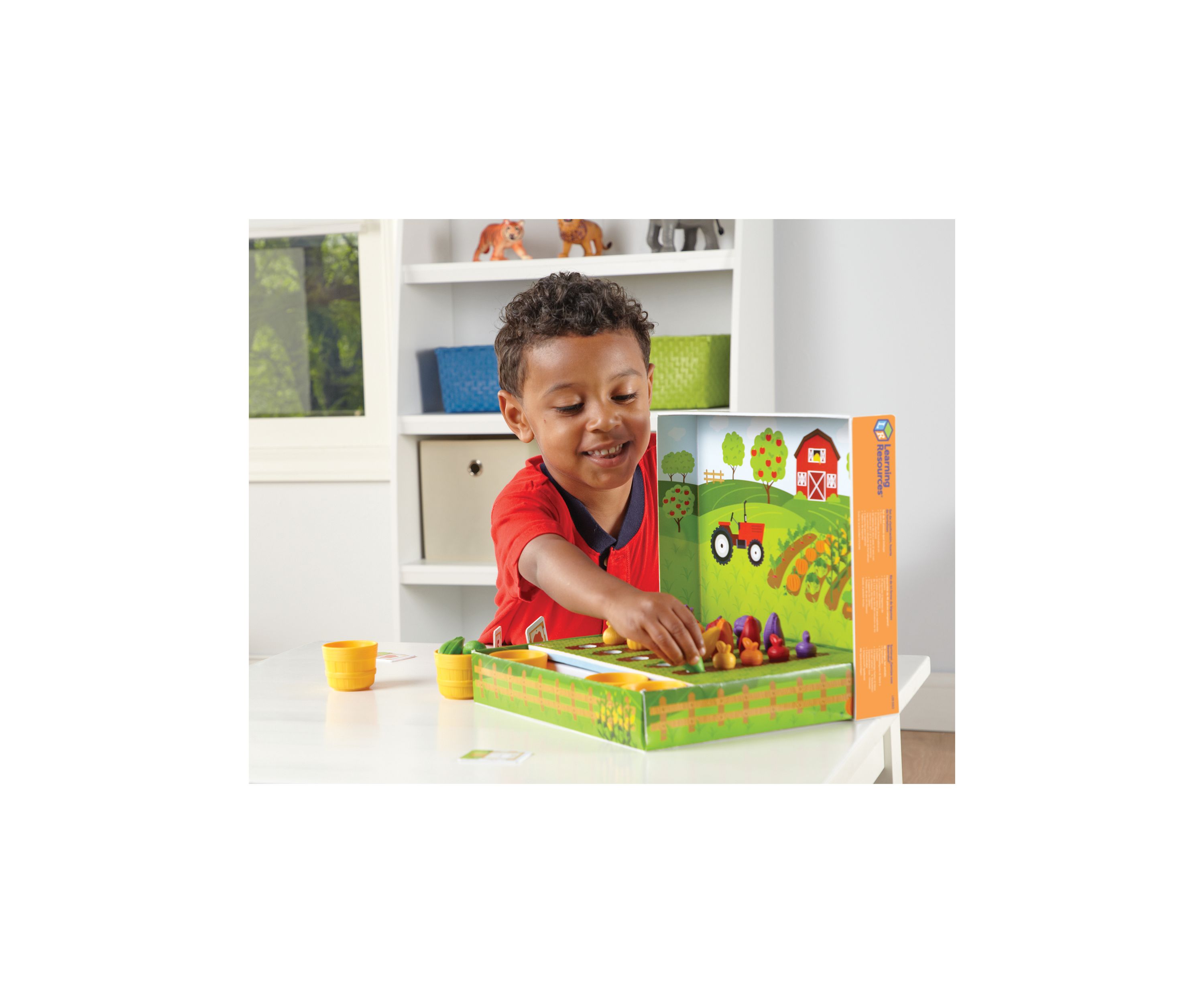 Veggie Farm Sorting Set
