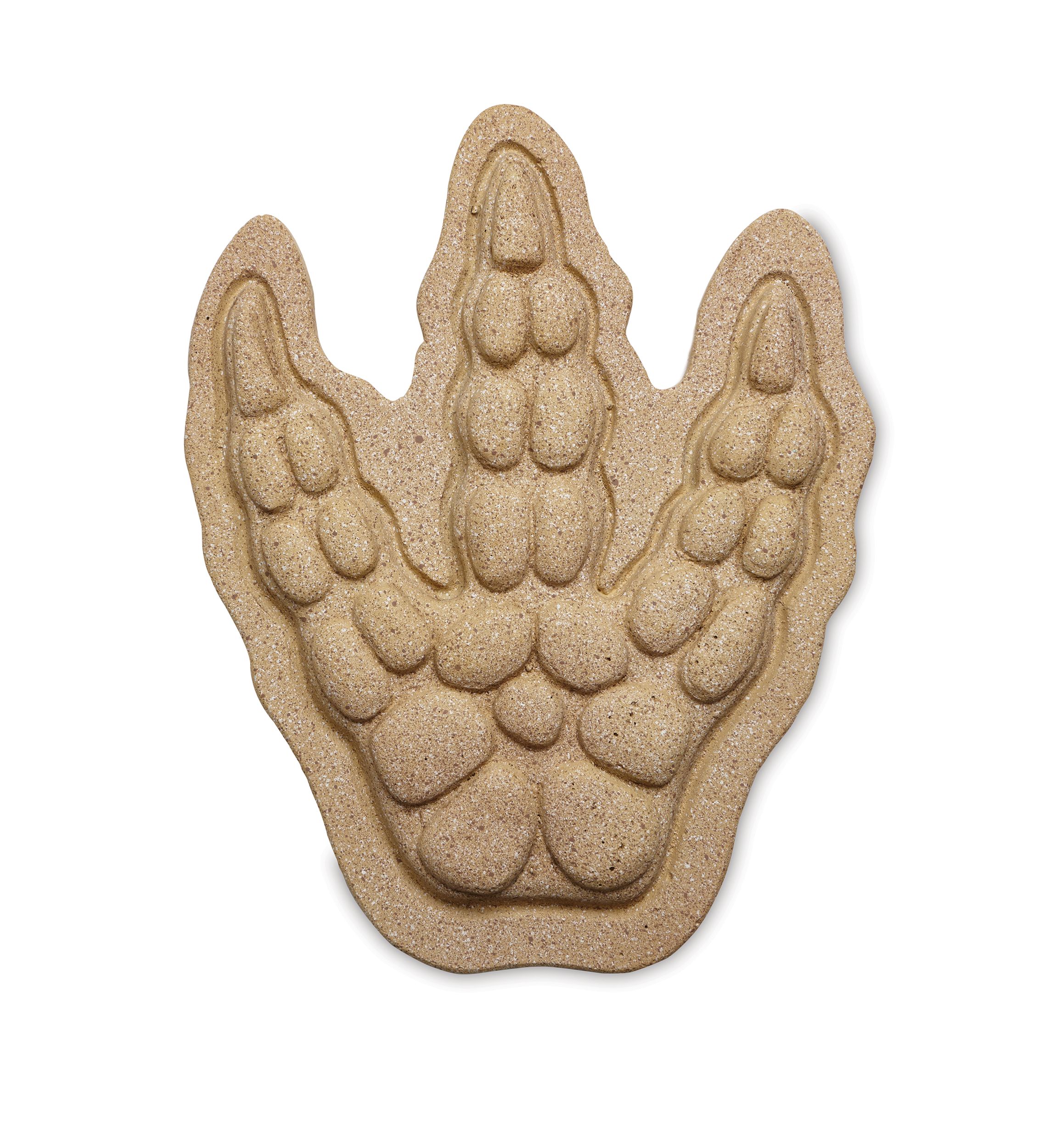 Paint Your Own Stepping Stone - Dinosaur Footprint