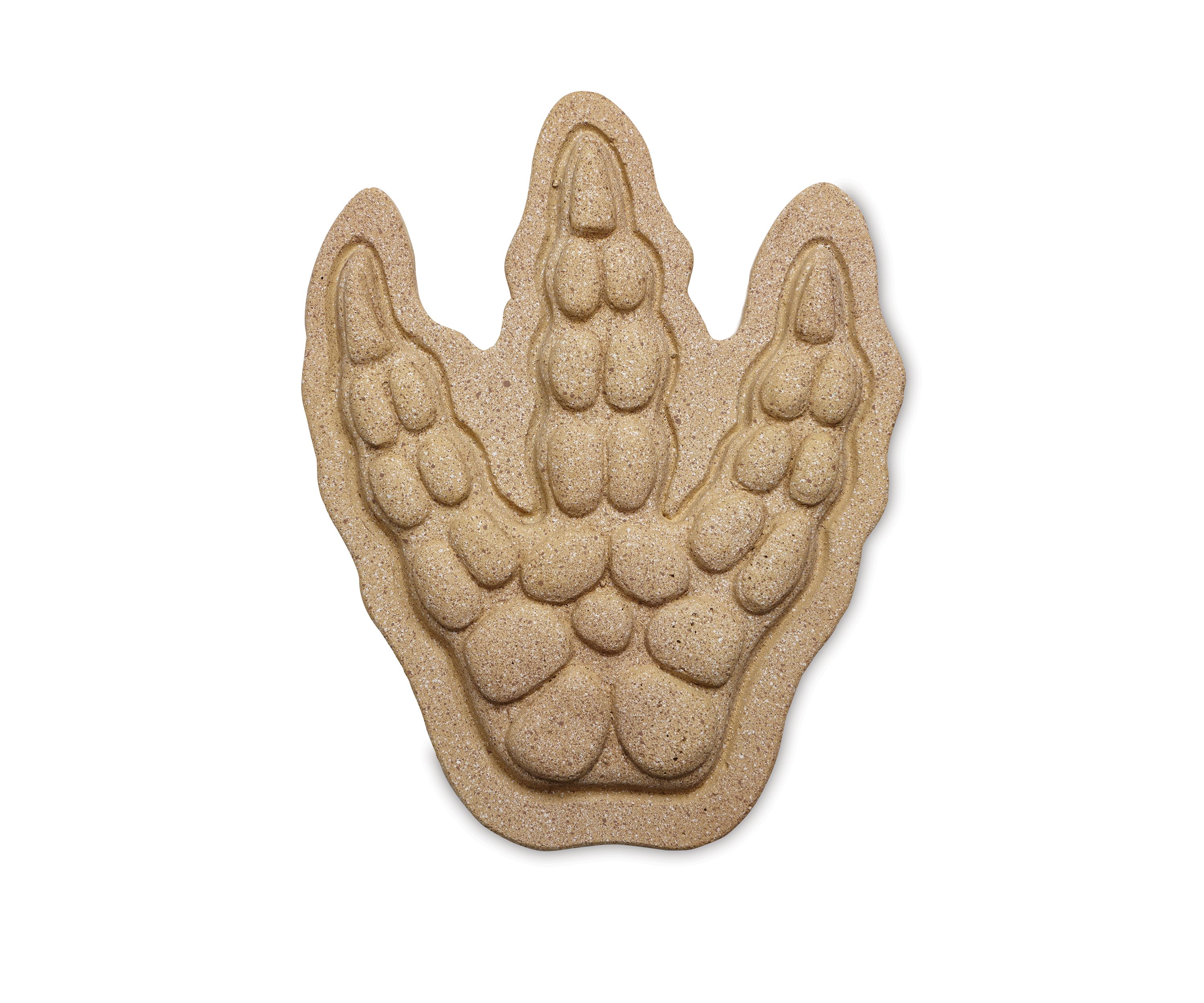 Paint Your Own Stepping Stone - Dinosaur Footprint
