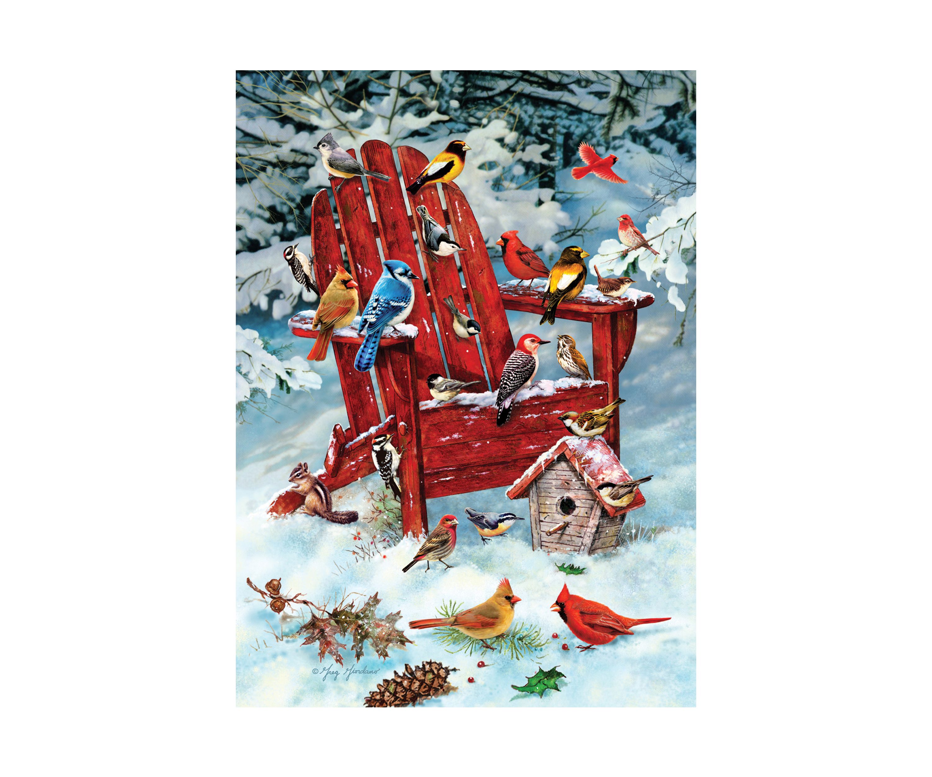 Adirondack Birds Puzzle: 1000 Pieces