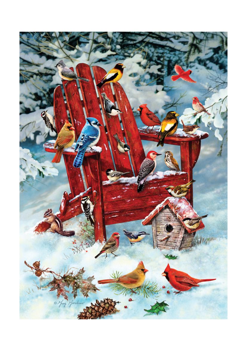 Adirondack Birds Puzzle: 1000 Pieces
