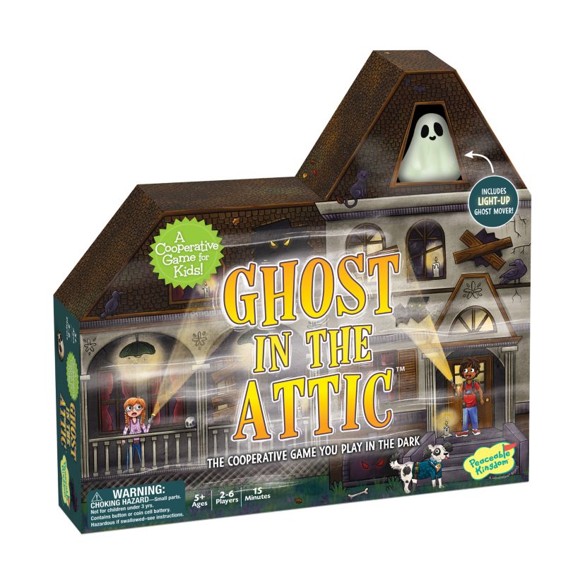 Ghost in the Attic