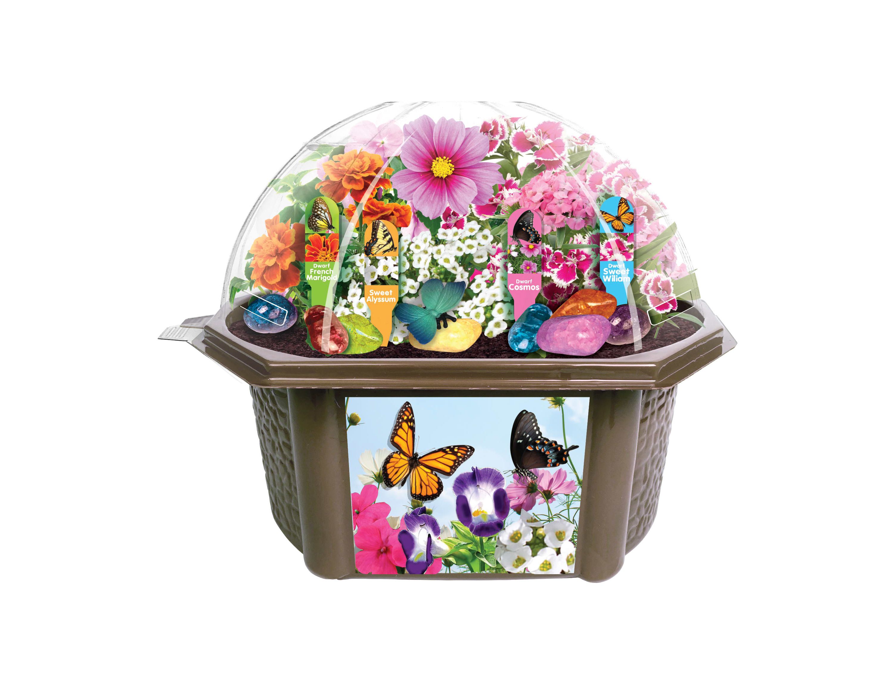 Biosphere Terrarium - Bountiful Butterfly Garden