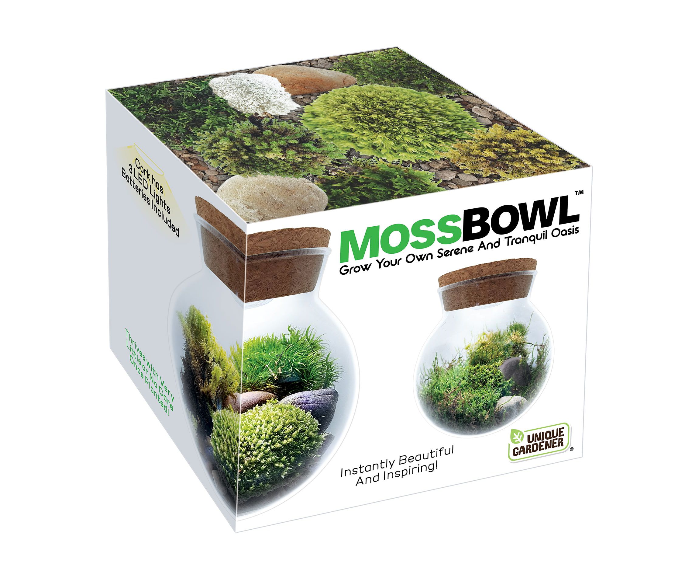 MossBowl - Grown Your Own Serene and Tranquil Oasis
