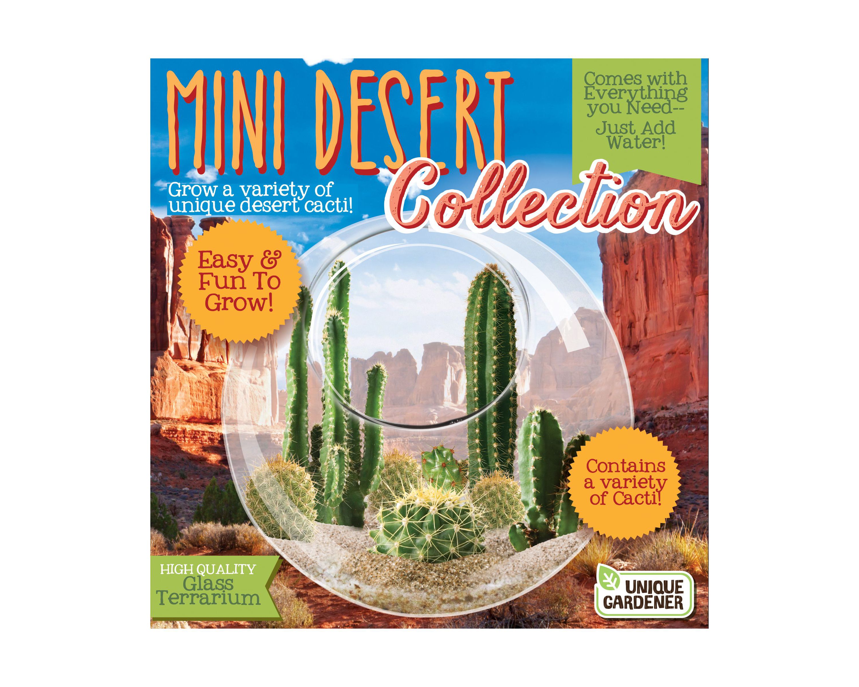 Glass Terrarium - Mini Desert Collection