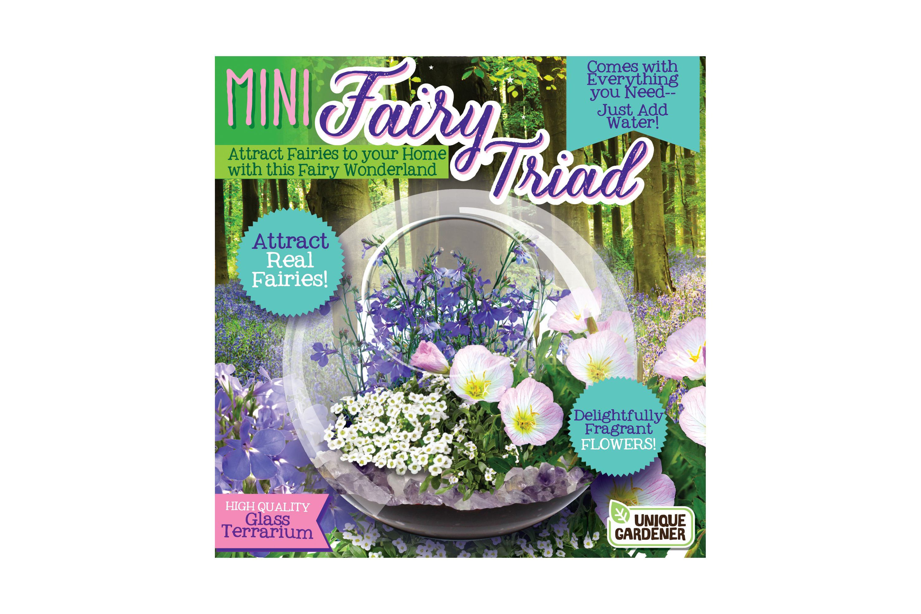 Glass Terrarium - Mini Fairy Triad