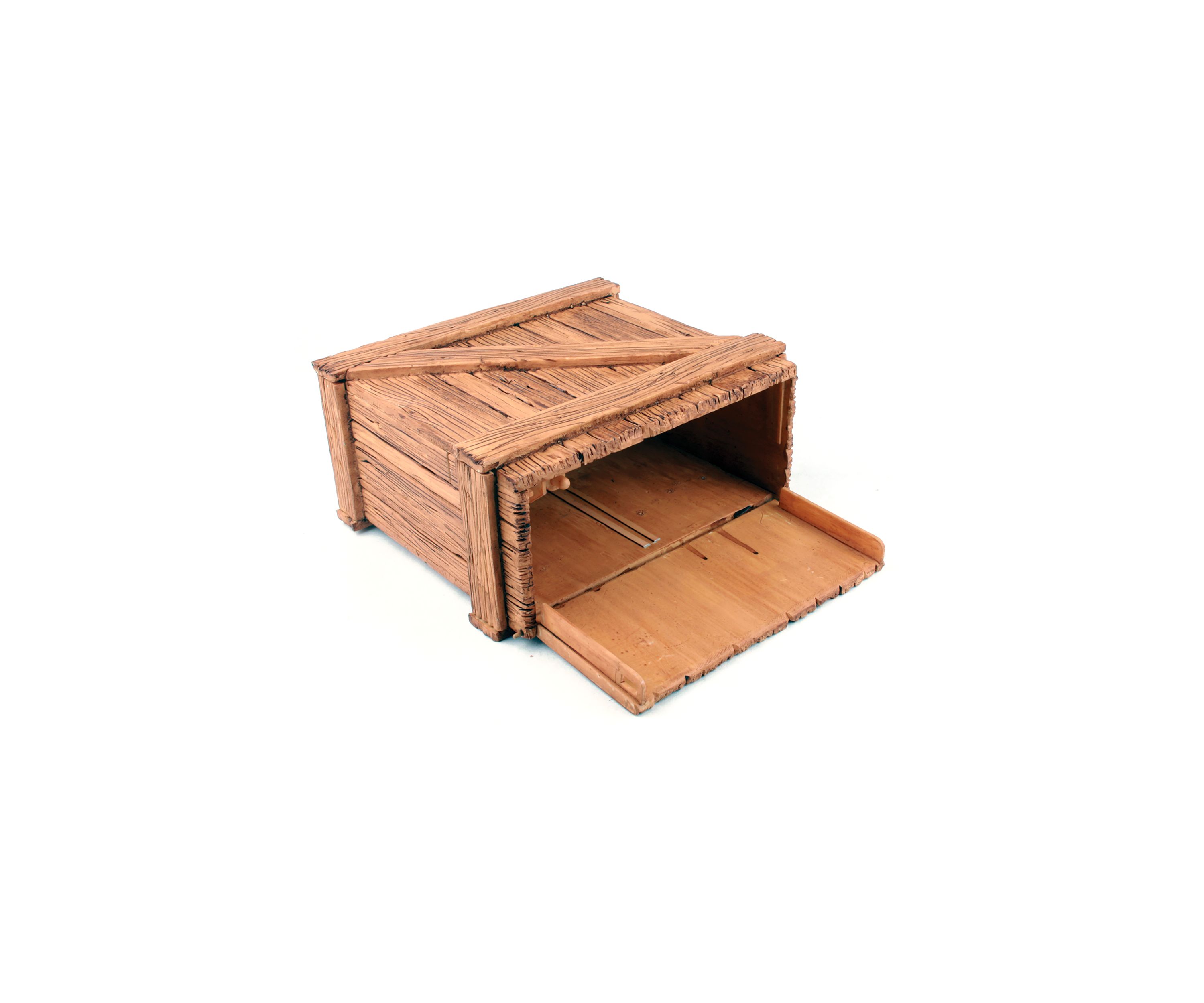 Tarantula Planet Creepy Crate