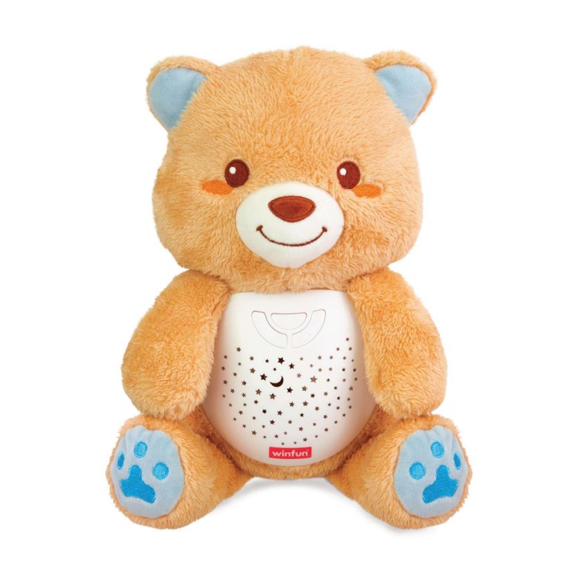 2 in 1 Starry Lights Bear