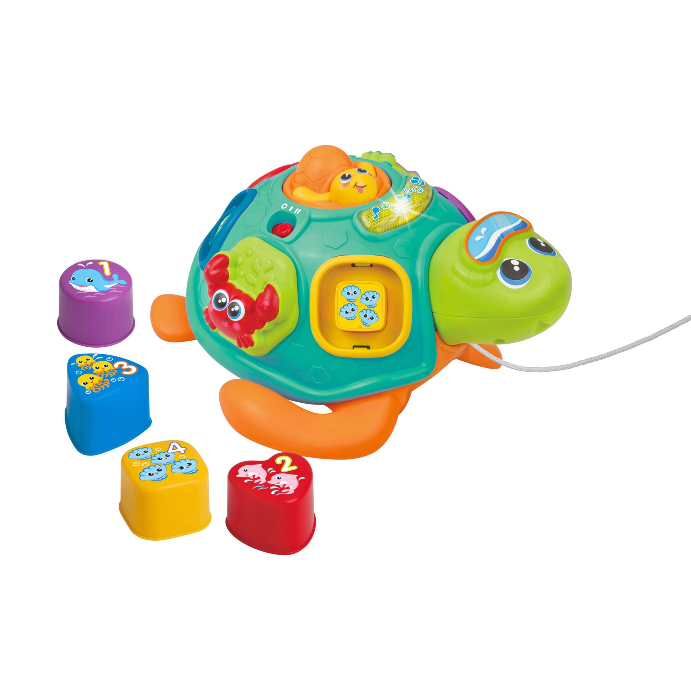 Bilingual Pull Along Sort n Learn Turtle