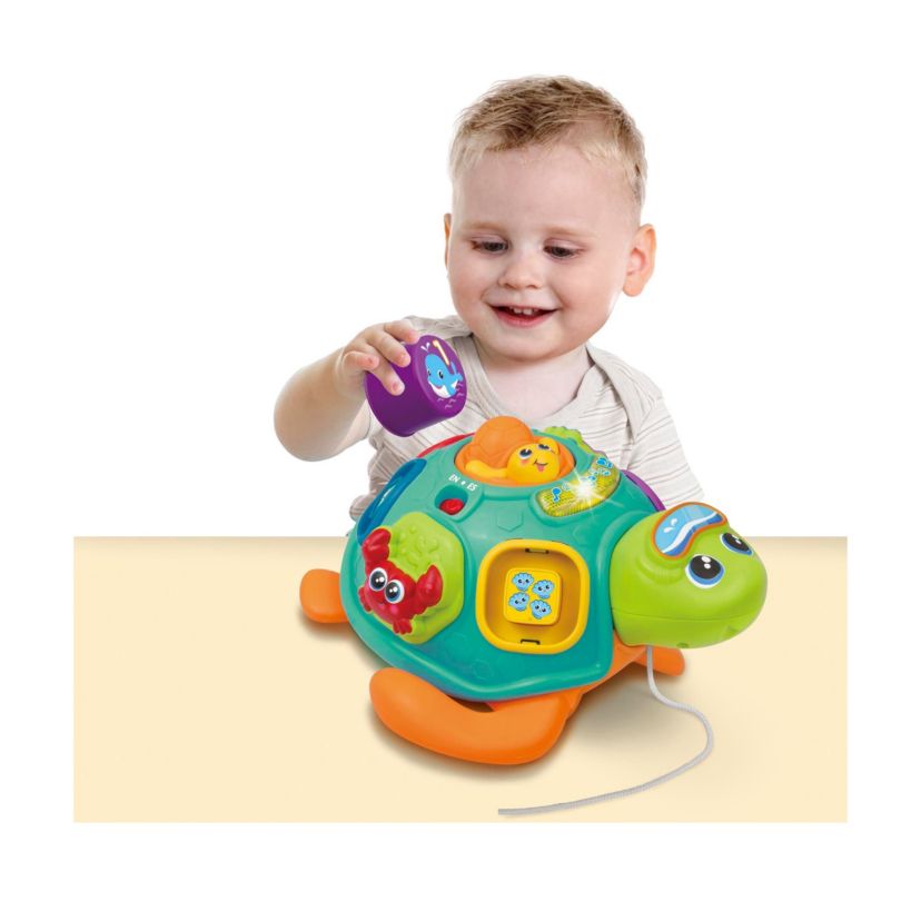 Bilingual Pull Along Sort n Learn Turtle